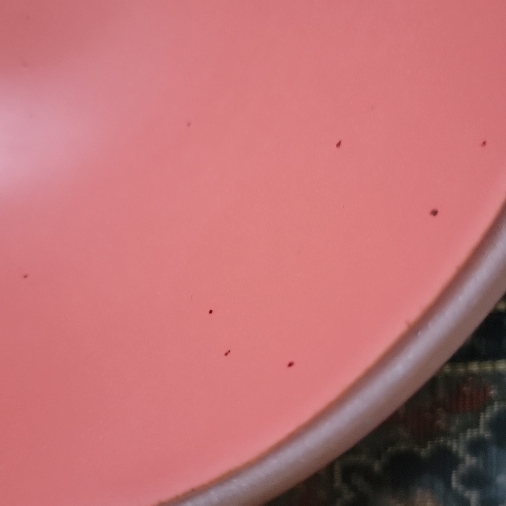 NEW Guava East Fork Pottery Soup Bowl - Picture 2 of 4